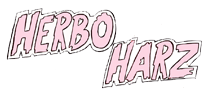 Herbo Harz Videoblog